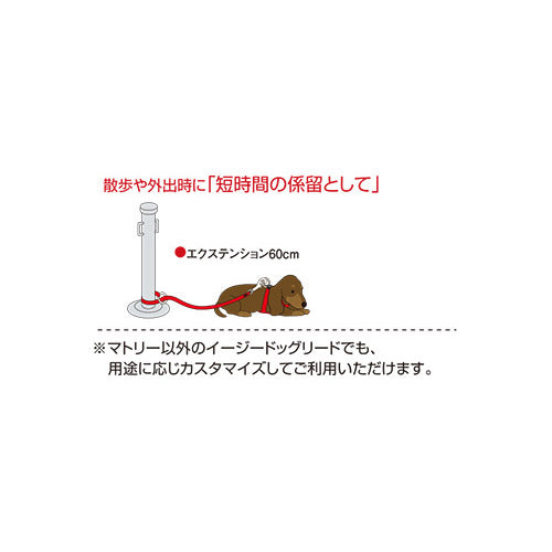 イージードッグ EZYDOG エクステンション グリーンカモ