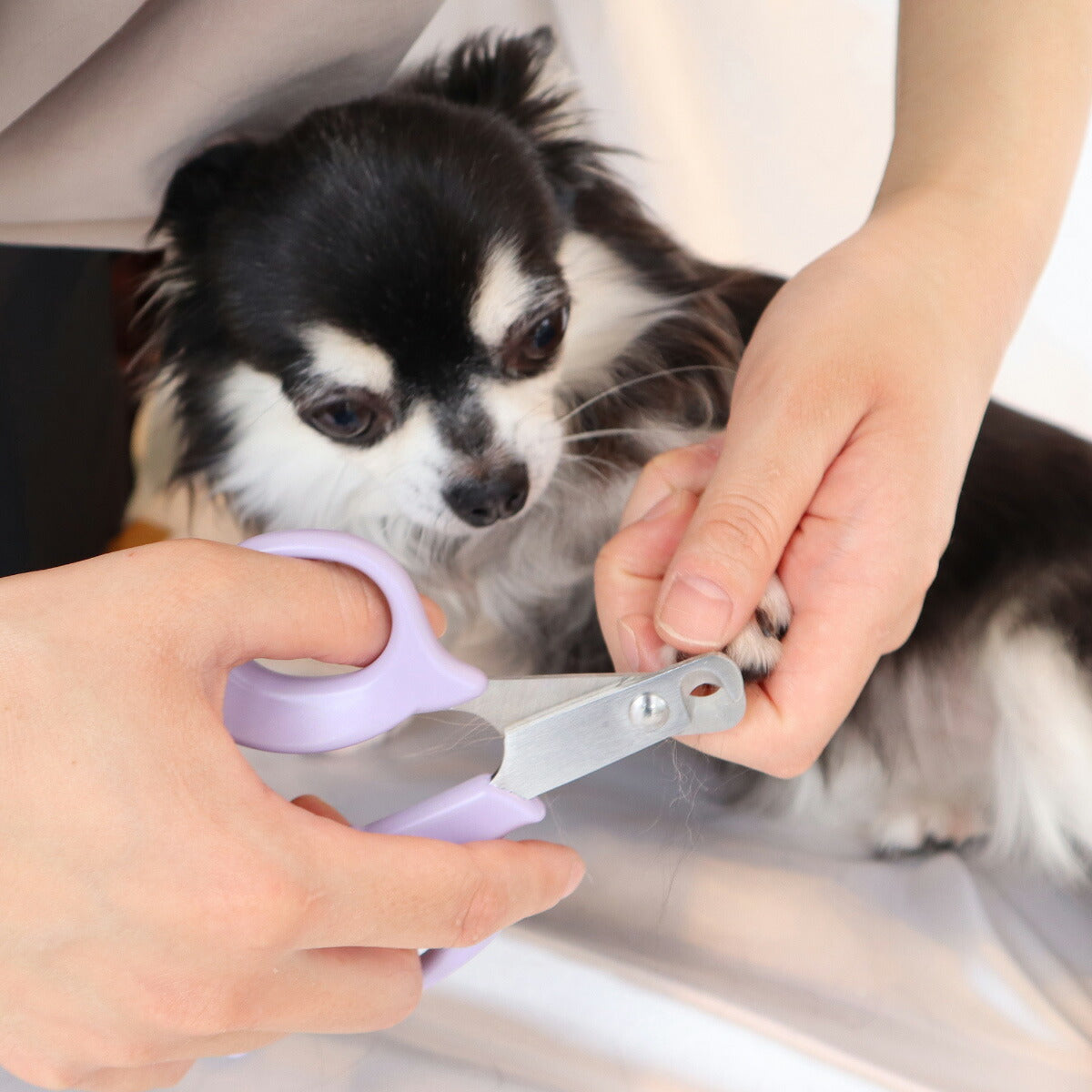 ペッツルート やさしい犬用爪切り