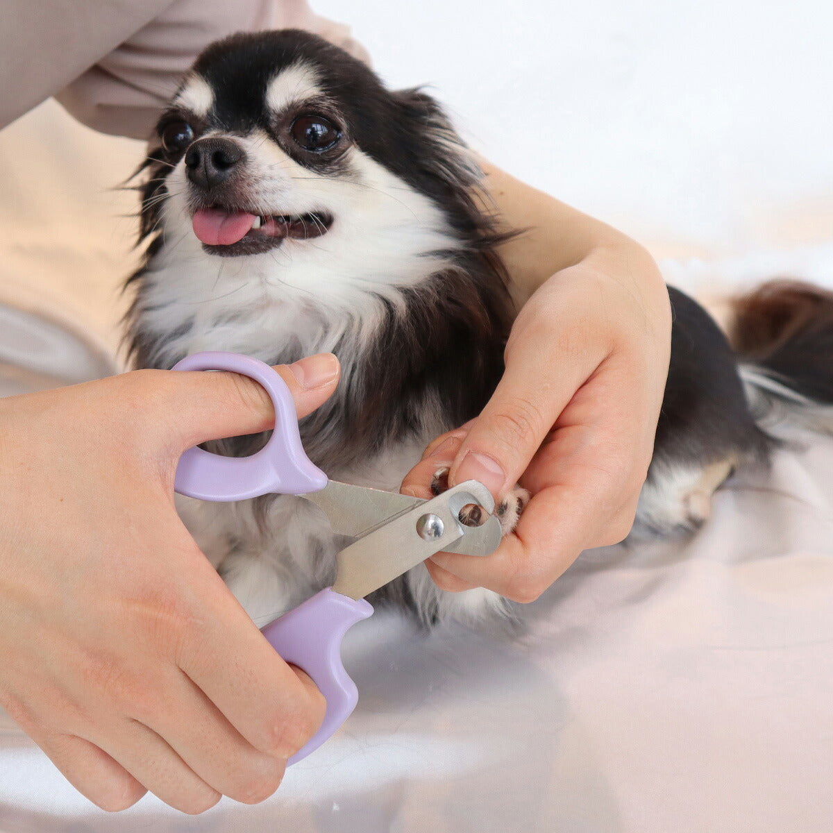 ペッツルート やさしい犬用爪切り