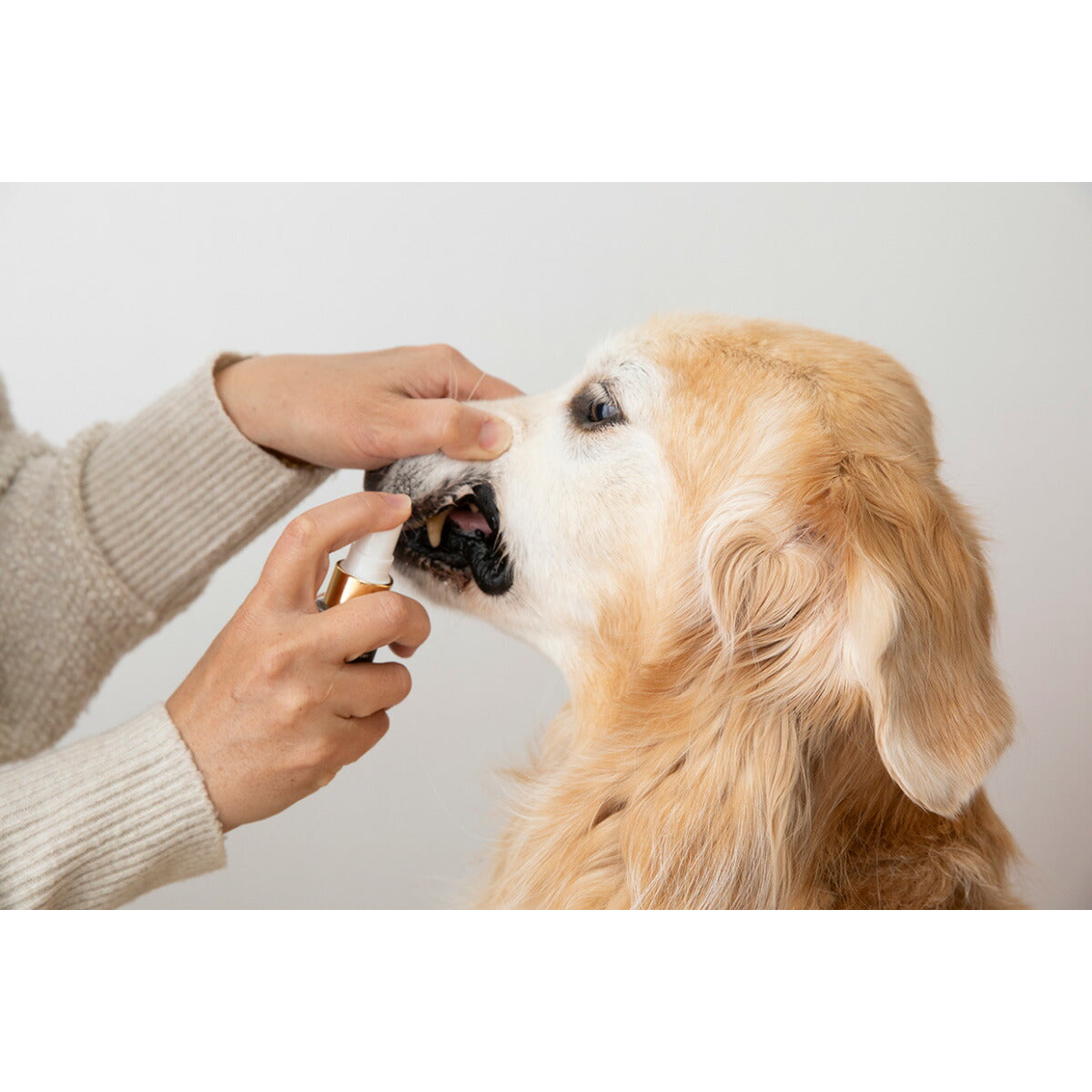 PROMO THERMO プロモサーモデンツ for Pets デンタルミスト 30ml