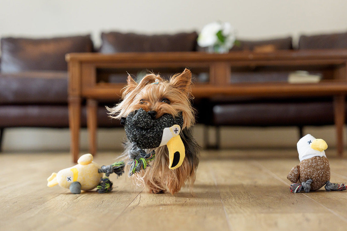 ダッドウェイペット ファッド FAD アニマル・プラッシュトイ・ウィズロープ パロット 犬のおもちゃ