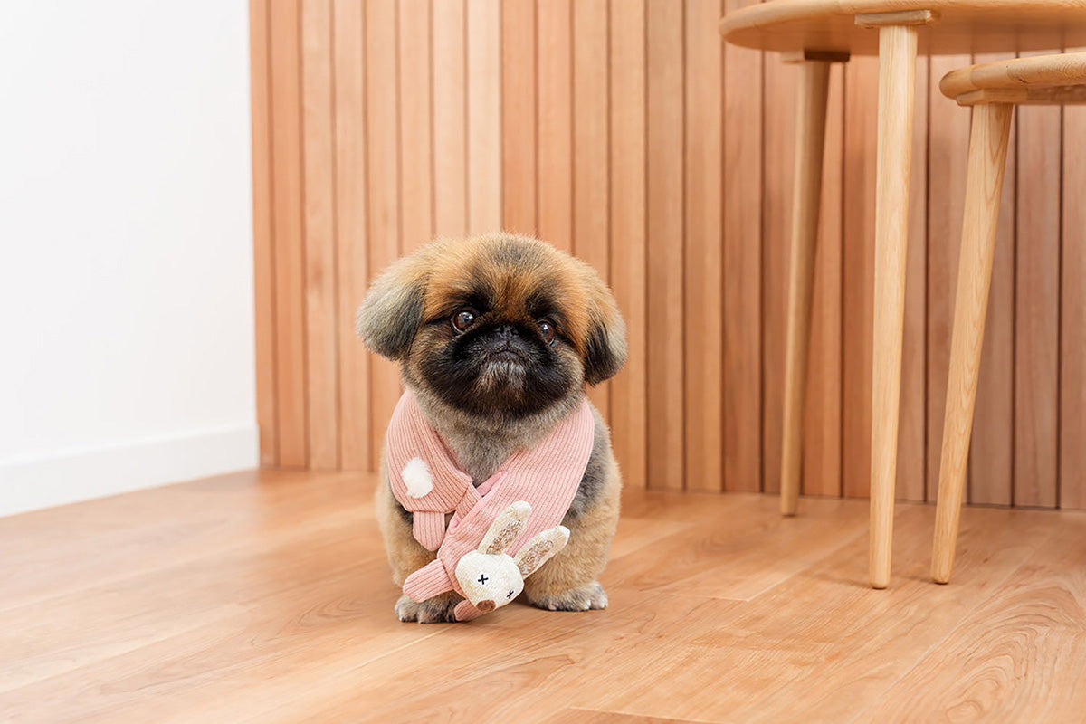 DADWAYPET ダッドウェイペット FAD ファッド ノーティードッグ・トイ マフラー ラビット 犬用おもちゃ