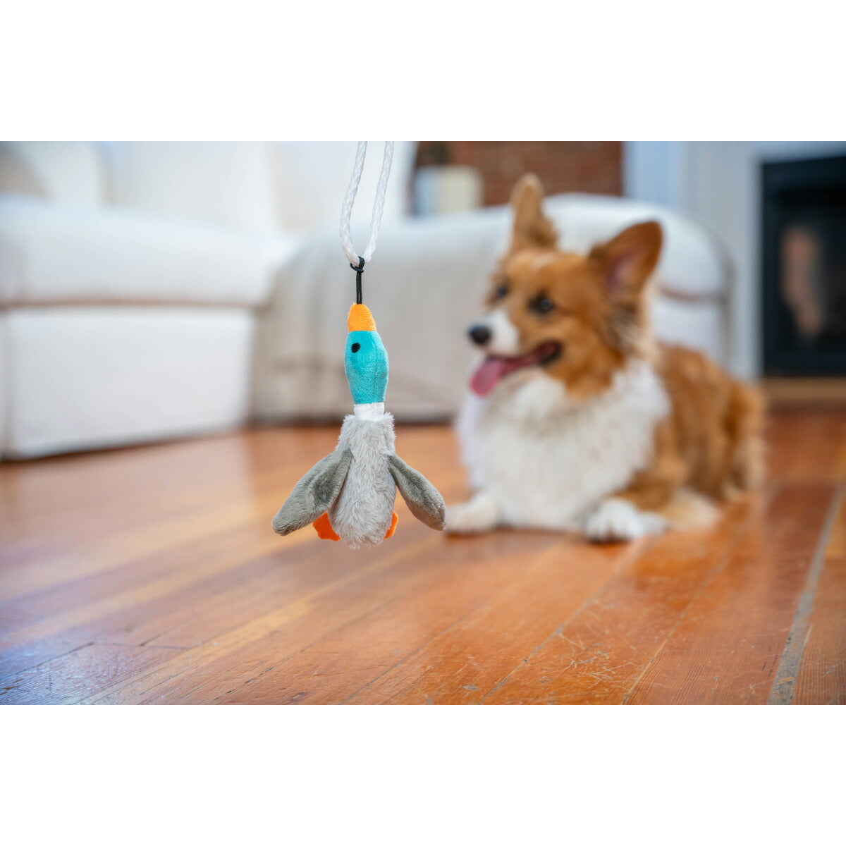 アウトワードハウンド Outward Hound テイルティーザー ミニ