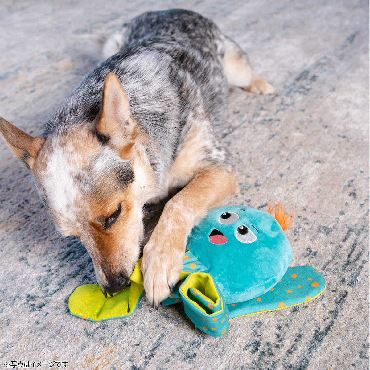 Outward hound アウトワードハウンド 犬用おもちゃ シリーレッグス ジラフ