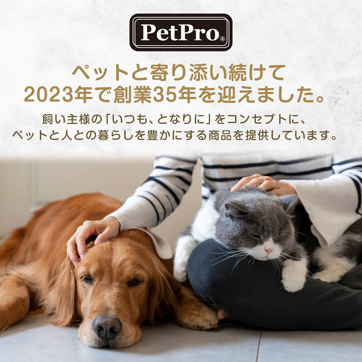 ペットプロ BIGガム スティック型 愛犬用おやつ 4本