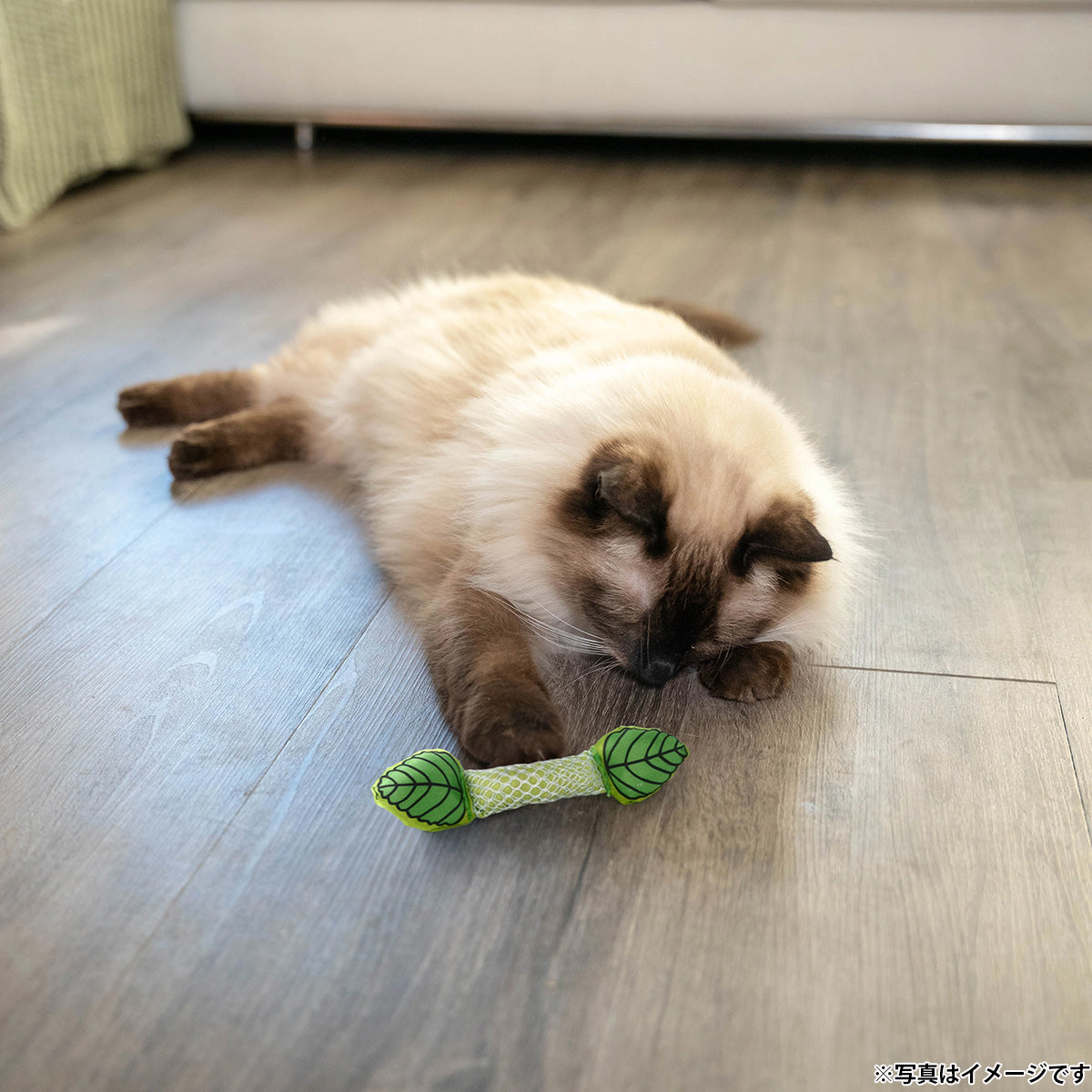 ペットステージ Petstages フレッシュミント スティック 猫用おもちゃ