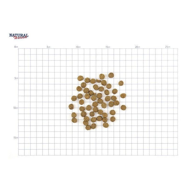 ナチュラルハーベスト ドッグフード 食事療法食 レジーム スモール ラム 成犬・シニア犬用 100g×30パック【送料無料】