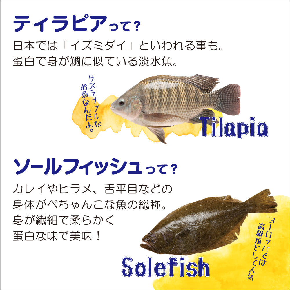 シグネチャー7 Signature7 キャットフード グレイビーブロス ツナwithソールフィッシュ 70g×24缶【送料無料】