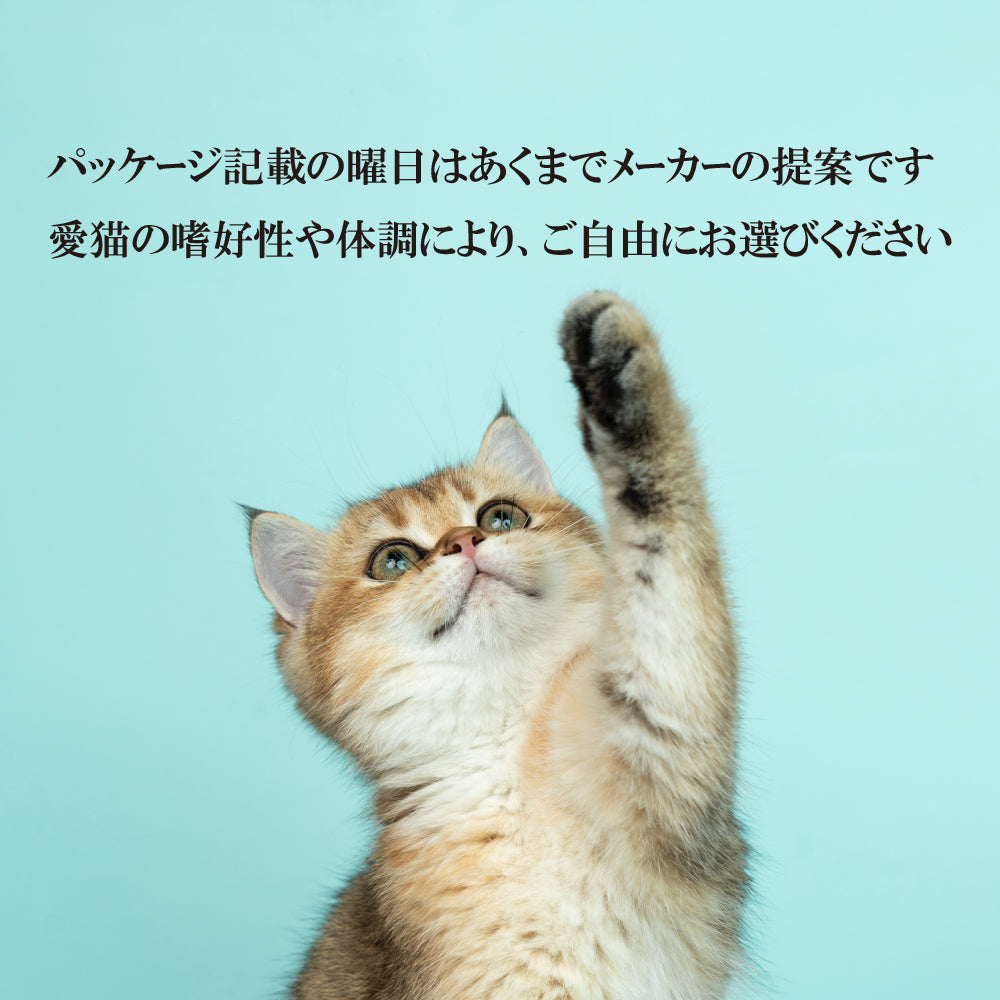 シグネチャー7 キャットフード ウェット ウイークリーパック パティタイプ 80g×7缶×4個セット