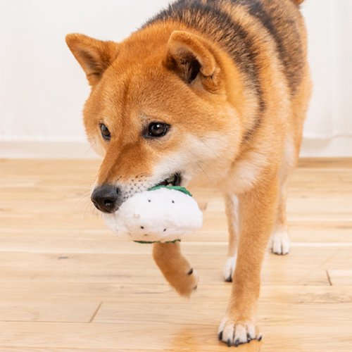 Solgra ソルグラ 犬用おもちゃ 梅干しおにぎり オフホワイト