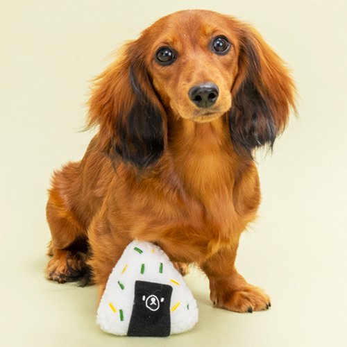 Solgra ソルグラ 犬用おもちゃ 混ぜ込みおにぎり オフホワイト