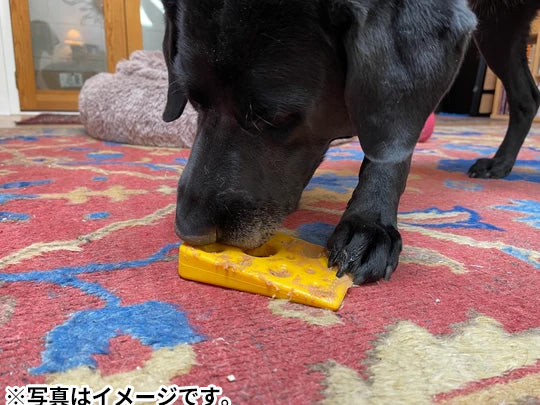 ソダパップ ナイロントイ スイスチーズ イエロー