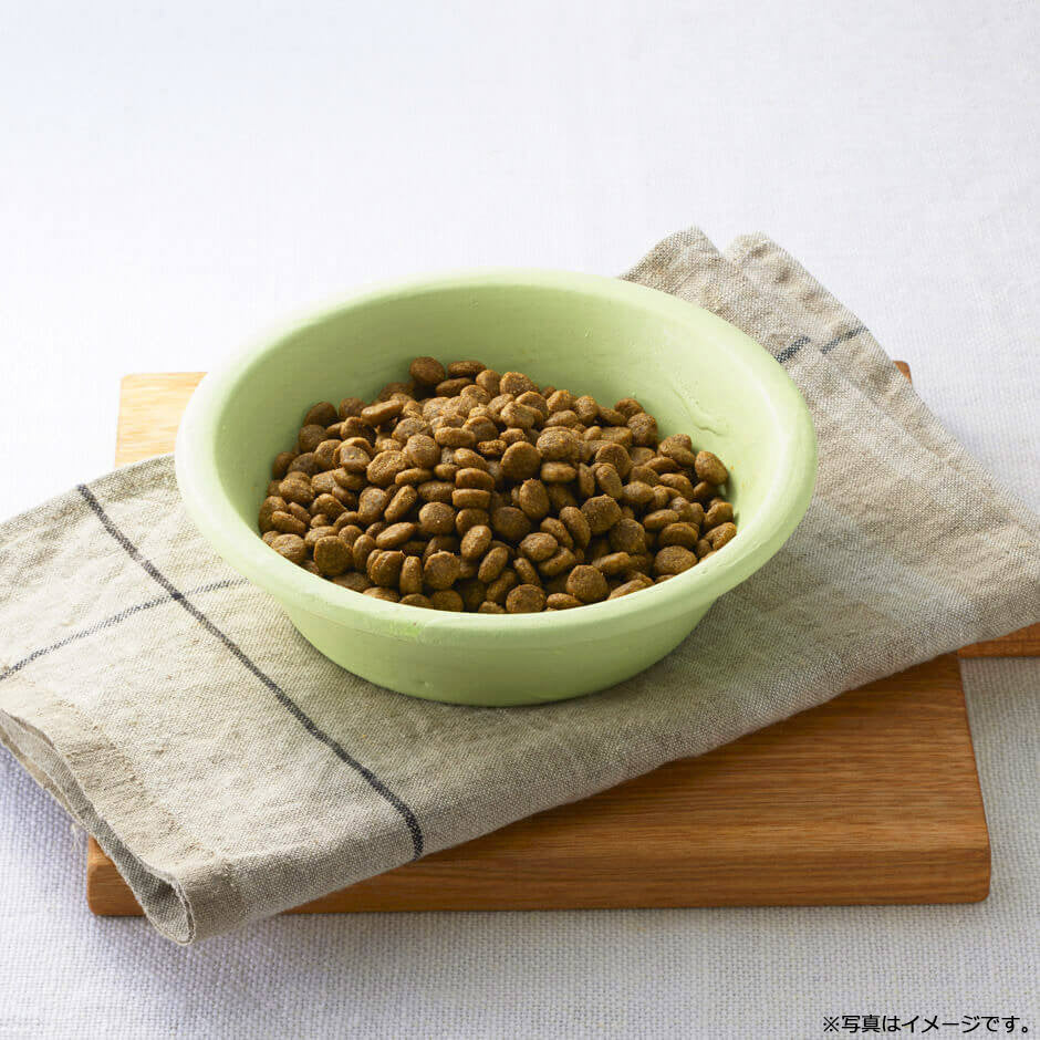 SOLVIDA ソルビダ グレインフリー ターキー 室内飼育全年齢対応 900g×2袋 オーガニック ドライフード 肥満犬用・ライト ペットフード ドッグフード 正規品 4562312014633【送料無料】