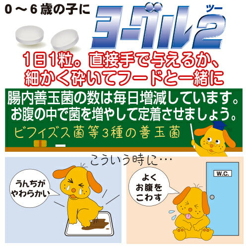トーラス サプリメント ヨーグル2 善玉菌 30g