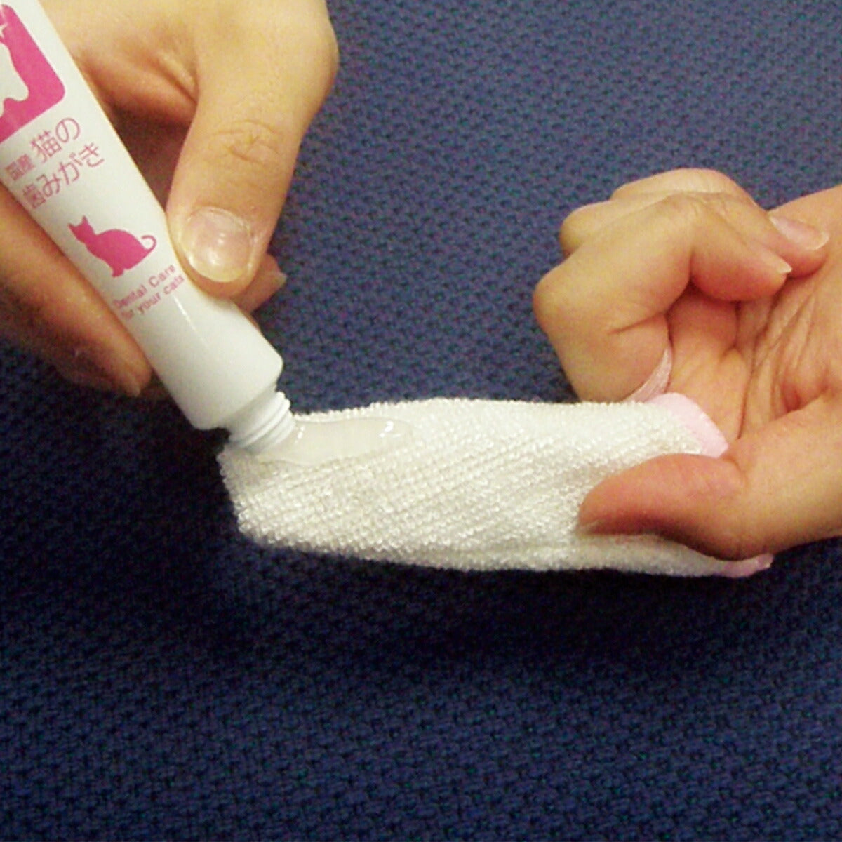 トーラス 国産 猫の歯みがき ペースト 21g