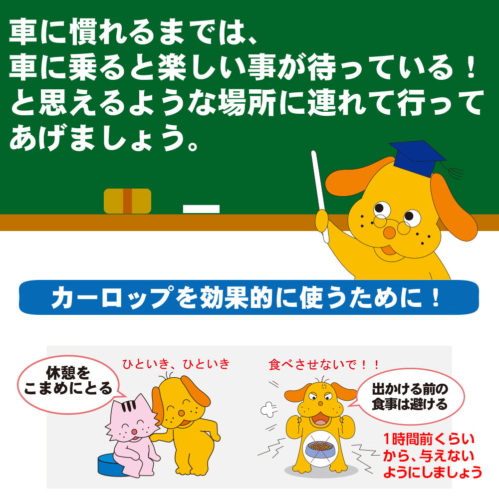 トーラス サプリメント カーロップ ドライブも楽しくなるシロップ 30ml