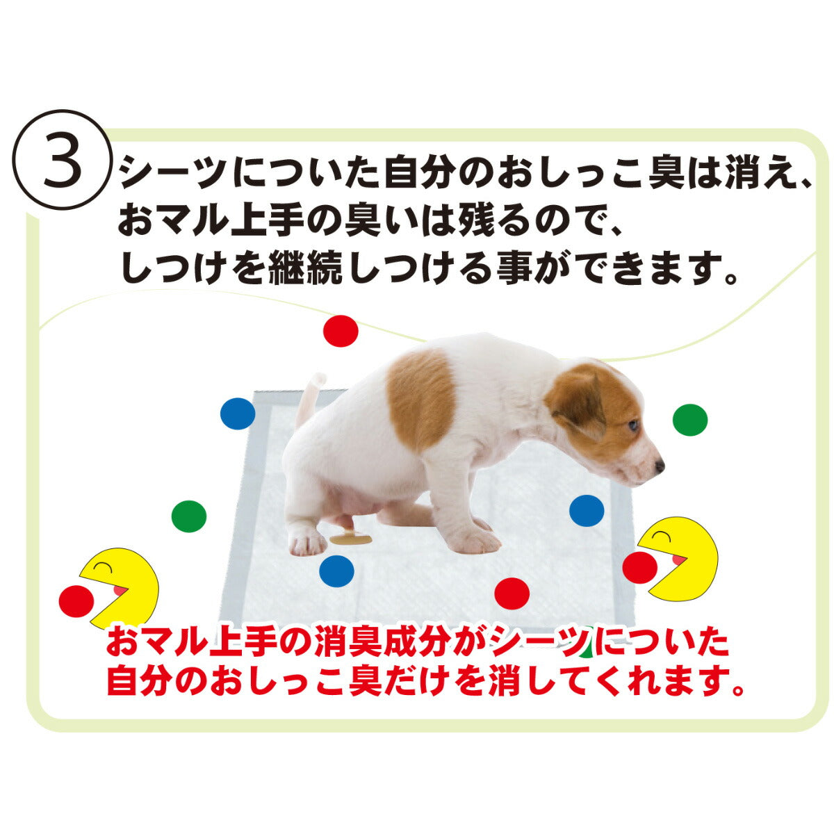 トーラス 愛犬愛猫用おマル上手 強力トイレのしつけスプレー 100ml