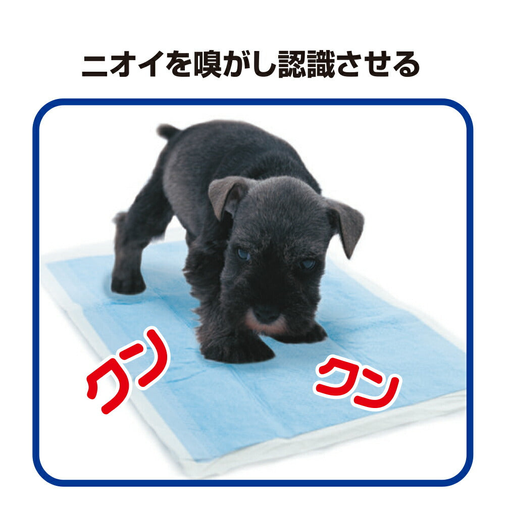 トーラス 愛犬愛猫用おマル上手 強力トイレのしつけスプレー 100ml
