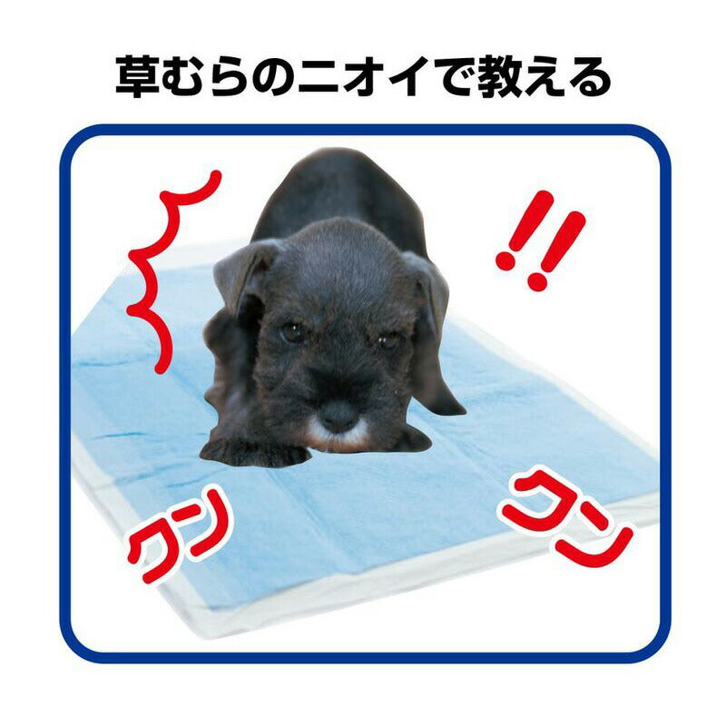トーラス 愛犬愛猫用おマル上手 強力トイレのしつけスプレー 100ml