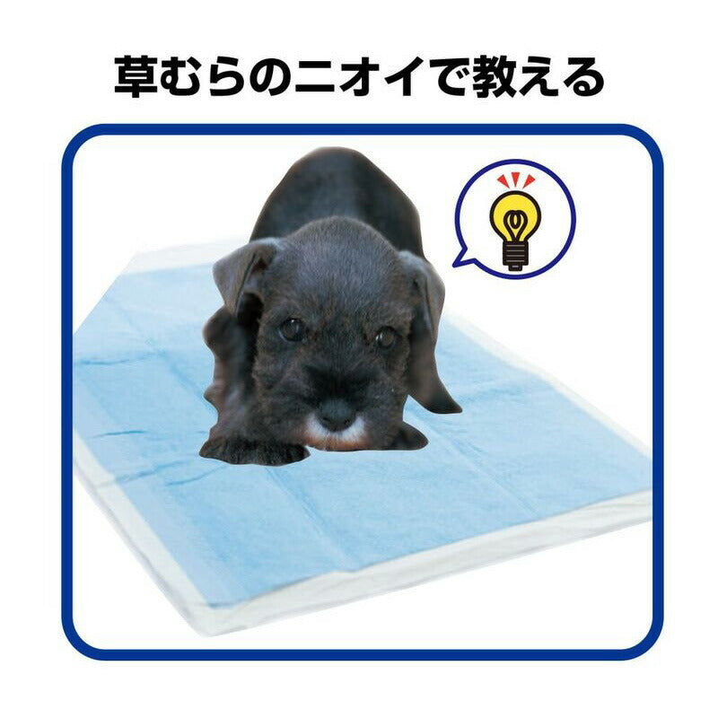 トーラス 愛犬愛猫用おマル上手 強力トイレのしつけスプレー 100ml