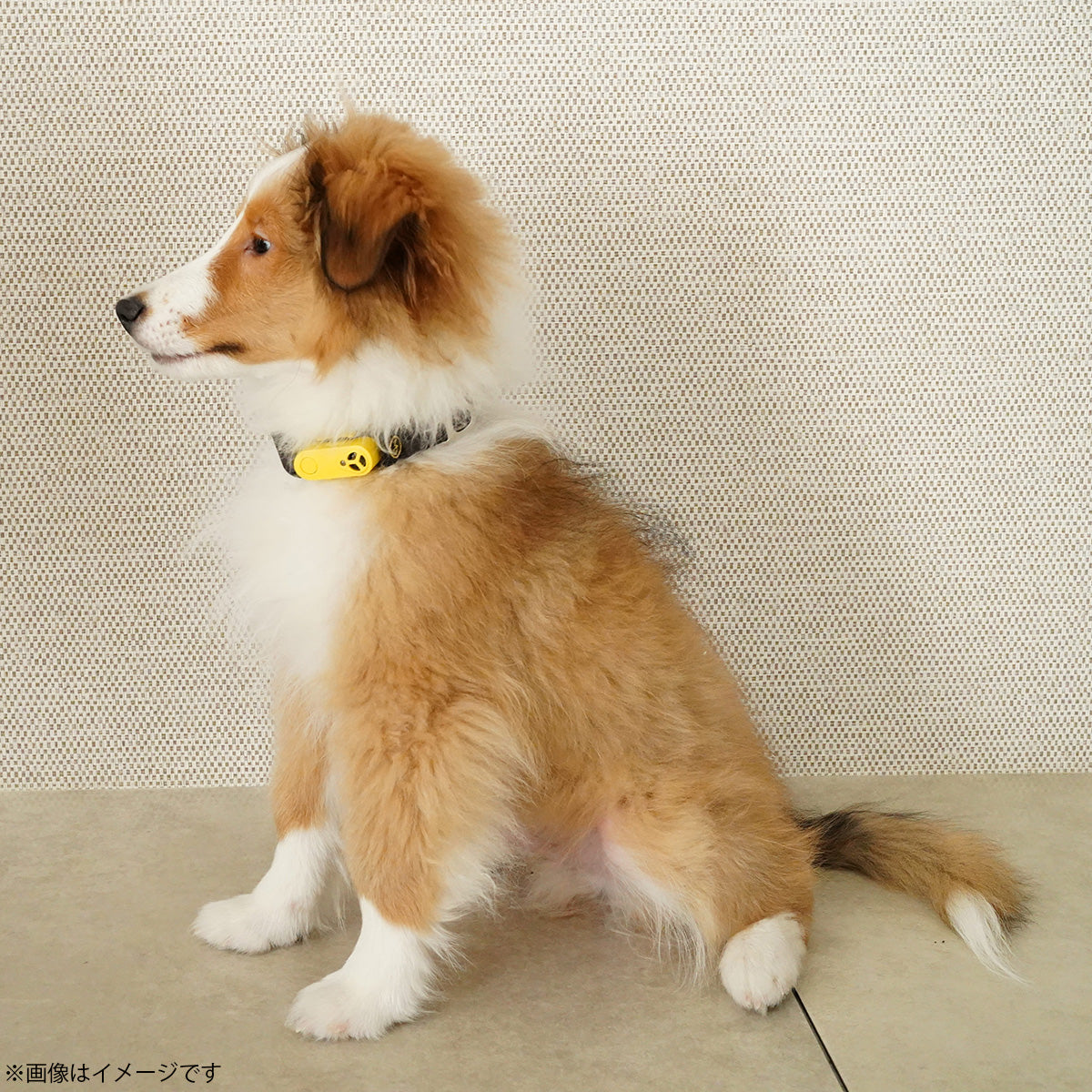 チックレス TICKLESS USBタイプ 虫よけ ノミ対策 ダニ対策 超音波 犬 猫 ペット ブラック