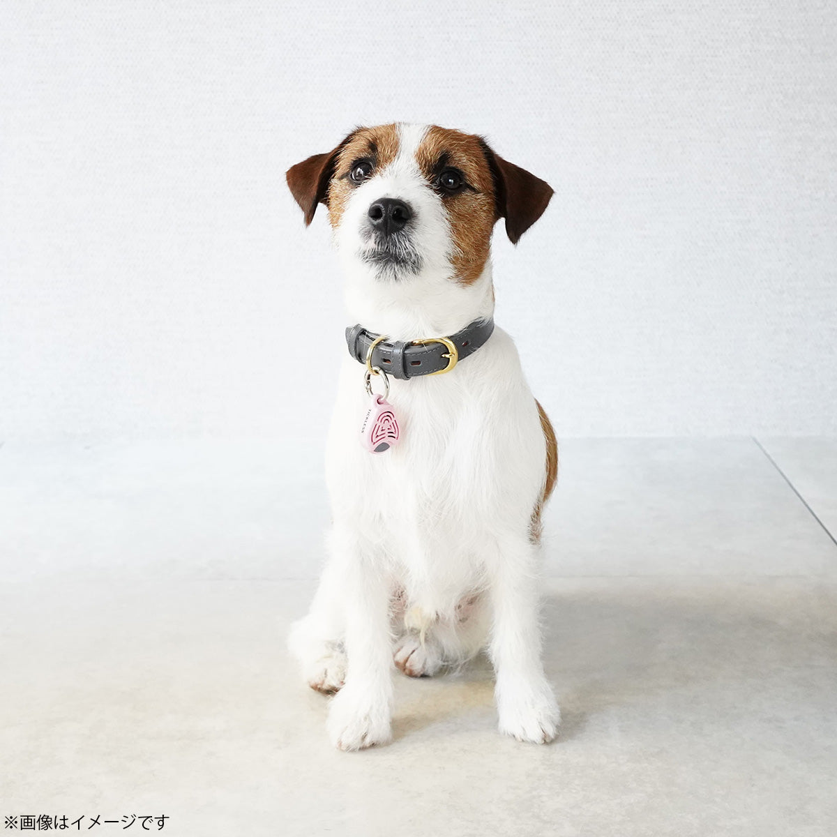 チックレス TICKLESS バッテリータイプ 虫よけ ノミ対策 ダニ対策 超音波 犬 猫 ペット エコブラウン