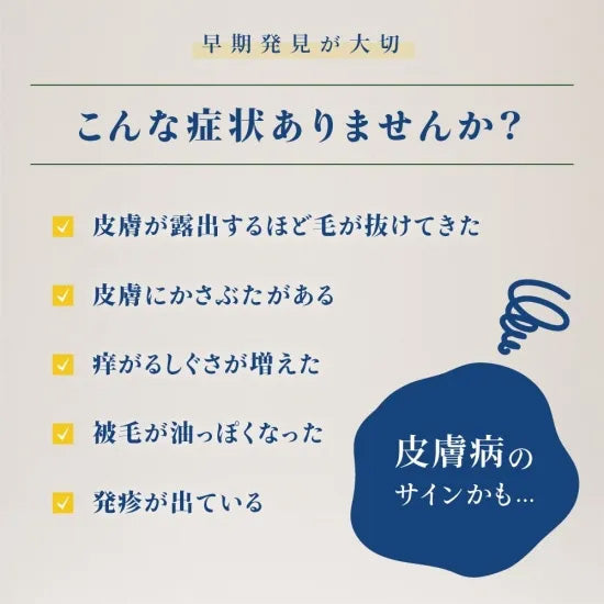 ベッツソリューション Vet Solution キャットフード 猫用食事療法食 ウェットトレイ 皮膚サポート 100g