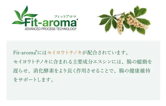 ベッツソリューション Vet Solution ドッグフード 犬用食事療法食 胃腸サポート 子犬用 3kg