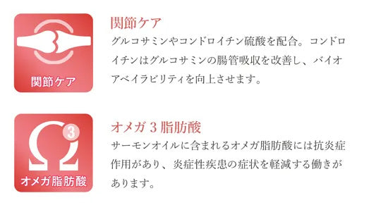 ベッツソリューション Vet Solution ドッグフード 犬用食事療法食 関節サポート 800g