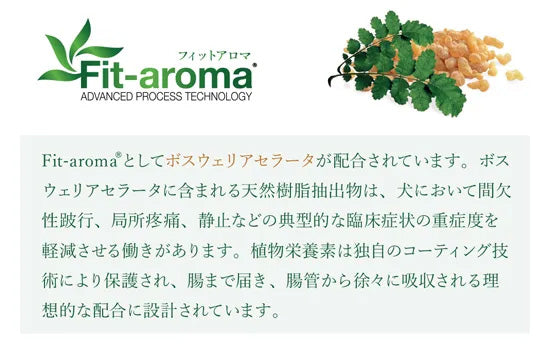 ベッツソリューション Vet Solution ドッグフード 犬用食事療法食 関節サポート 800g