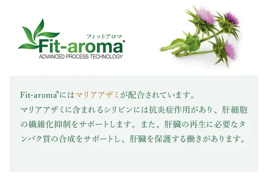 ベッツソリューション Vet Solution キャットフード 猫用食事療法食 肝臓サポート 2kg