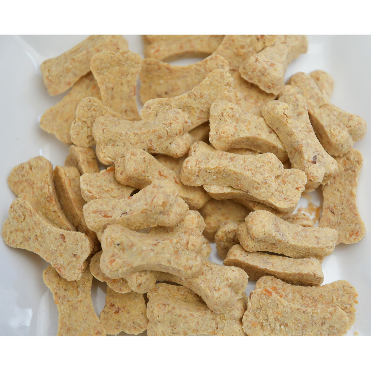 FIVE STARS ヘルシーブラン ササミ&パンプキン 犬用おやつ 100g ドッグトリーツ 国産 無添加 食物繊維 乳酸菌