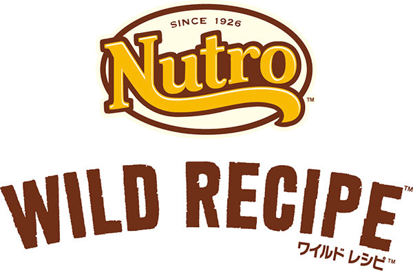 ワイルドレシピ