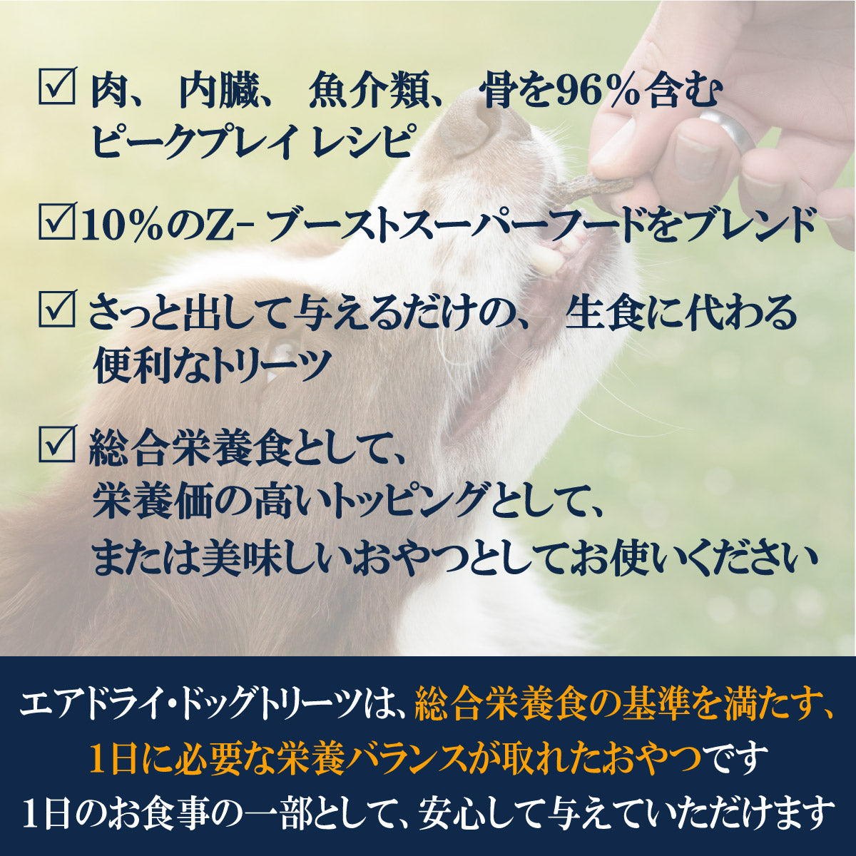 ジウィ ZIWI ドッグトリーツ エアドライ・ドッグトリーツ グラスフェッド ビーフ 85g×24個セット