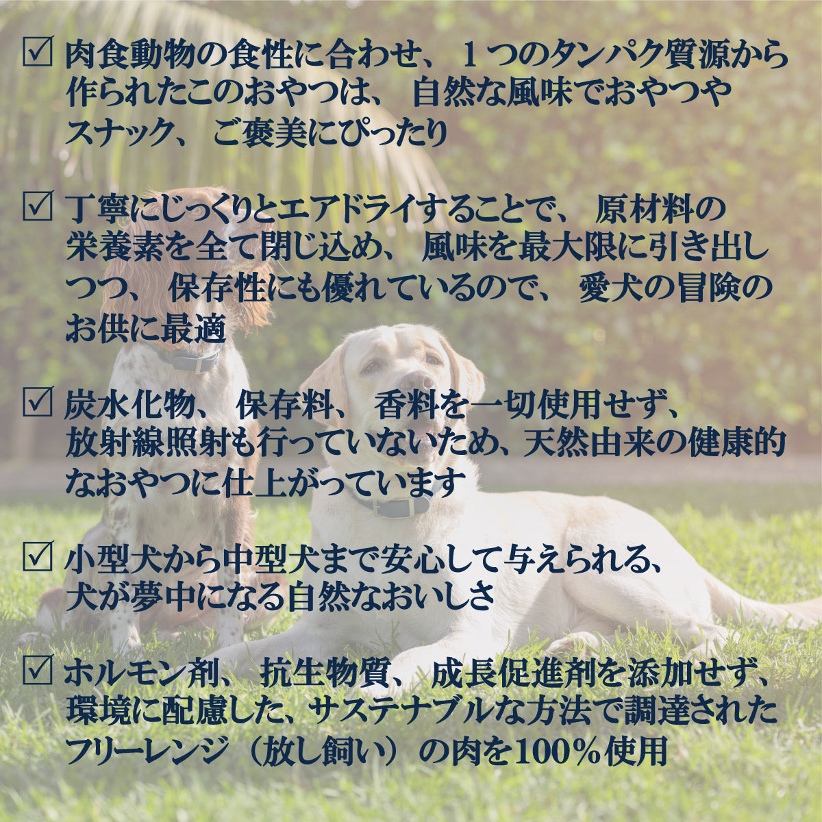 ジウィ ZIWI ドッグトリーツ ベニソン ラング&キドニー 60g×10個セット
