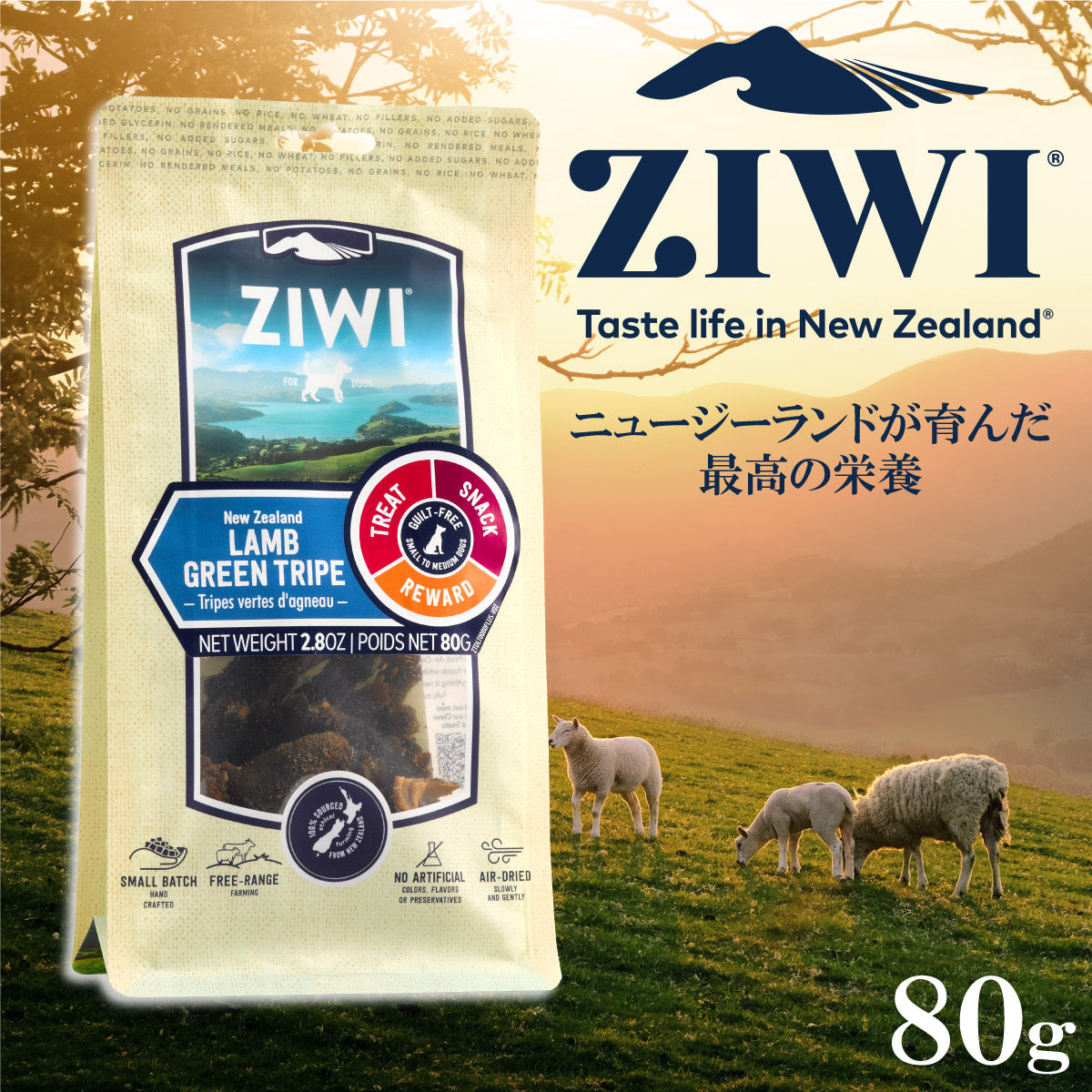 ジウィ ZIWI ドッグトリーツ ラムグリーントライプ 80g×10個セット