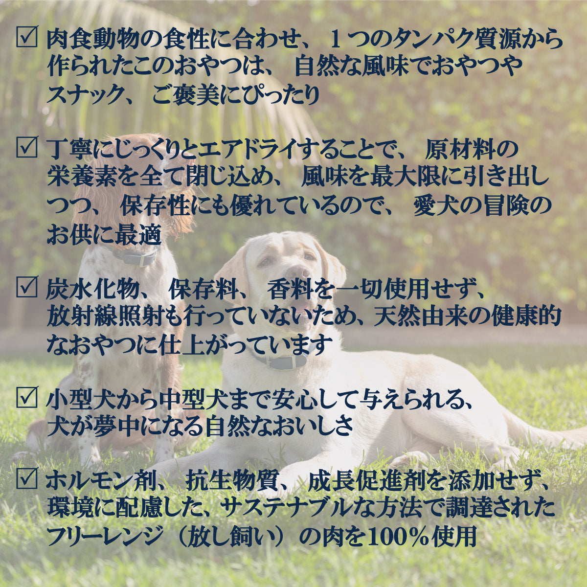 ジウィ ZIWI ドッグトリーツ ラムグリーントライプ 80g×10個セット