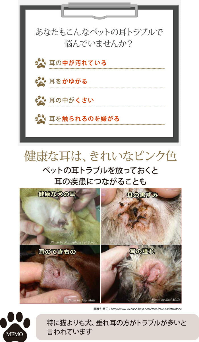 APDCクリア イヤークリーンウォーター 詰替用 1L 送料無料 耳掃除 簡単 天然 除菌 消臭 安全 植物成分 犬 猫 ペット