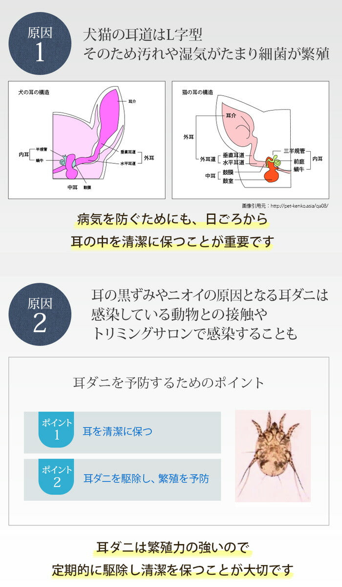 APDCクリア イヤークリーンウォーター 詰替用 1L 送料無料 耳掃除 簡単 天然 除菌 消臭 安全 植物成分 犬 猫 ペット