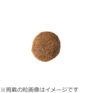 ニュートロ ナチュラルチョイス ドッグフード ラム&玄米 子犬用 全犬種用 1kg 無添加