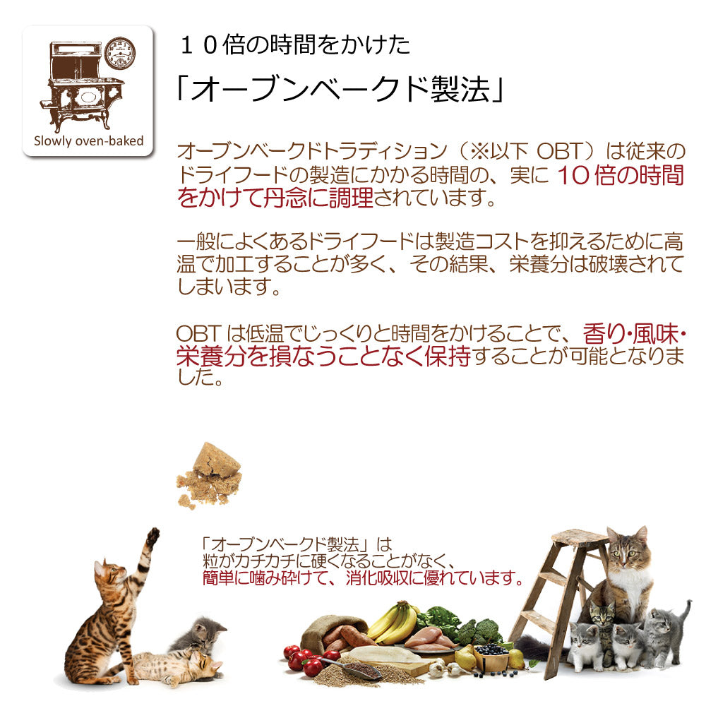オーブンベイクド トラディション ドッグフード グレインフリー ダック 1kg