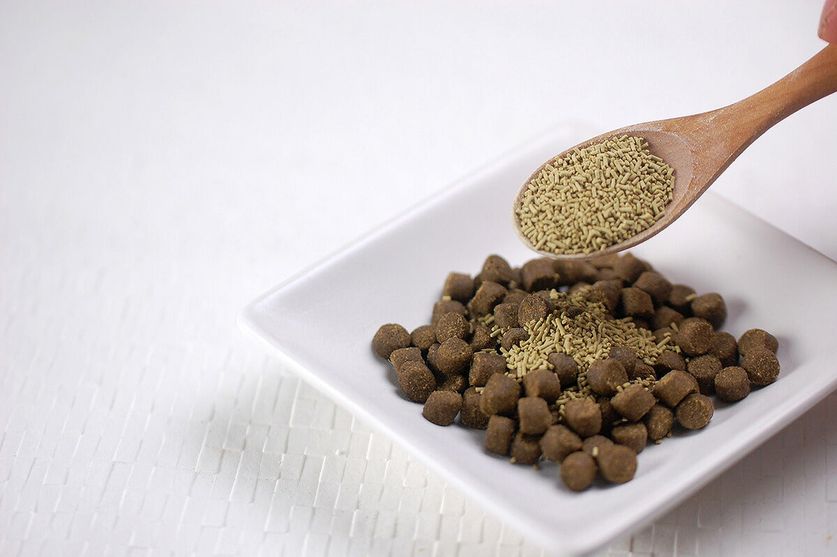 グローリードッグ&アース サプリメント イーストスリム 200g 犬 乳酸菌 フェカリス菌 猫 栄養補助食品 防腐剤/着色料不使用 お得エコパック 【送料無料】