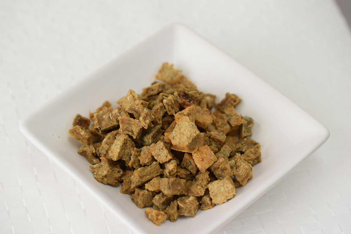 グローリードッグ&アース おやつ ジャーキー しゃけコロコロステーキ 80g 犬 無添加 国産 猫 海鮮