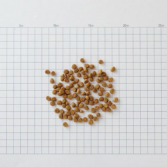 カントリーロード キャットフード プレシャスサポート 下部尿路ケア用食事療法食 650g 無添加 結石ケア ストラバイト結石 シュウ酸カルシウム結石