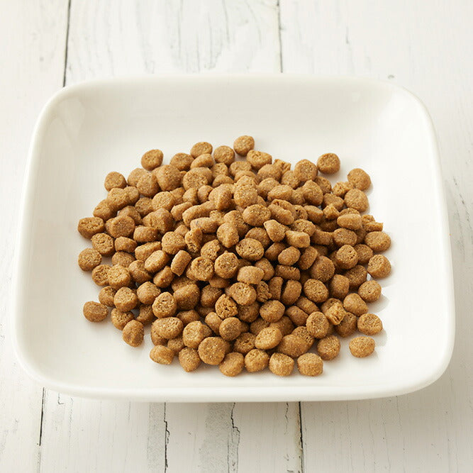 カントリーロード キャットフード プレシャスサポート 下部尿路ケア用食事療法食 650g 無添加 結石ケア ストラバイト結石 シュウ酸カルシウム結石