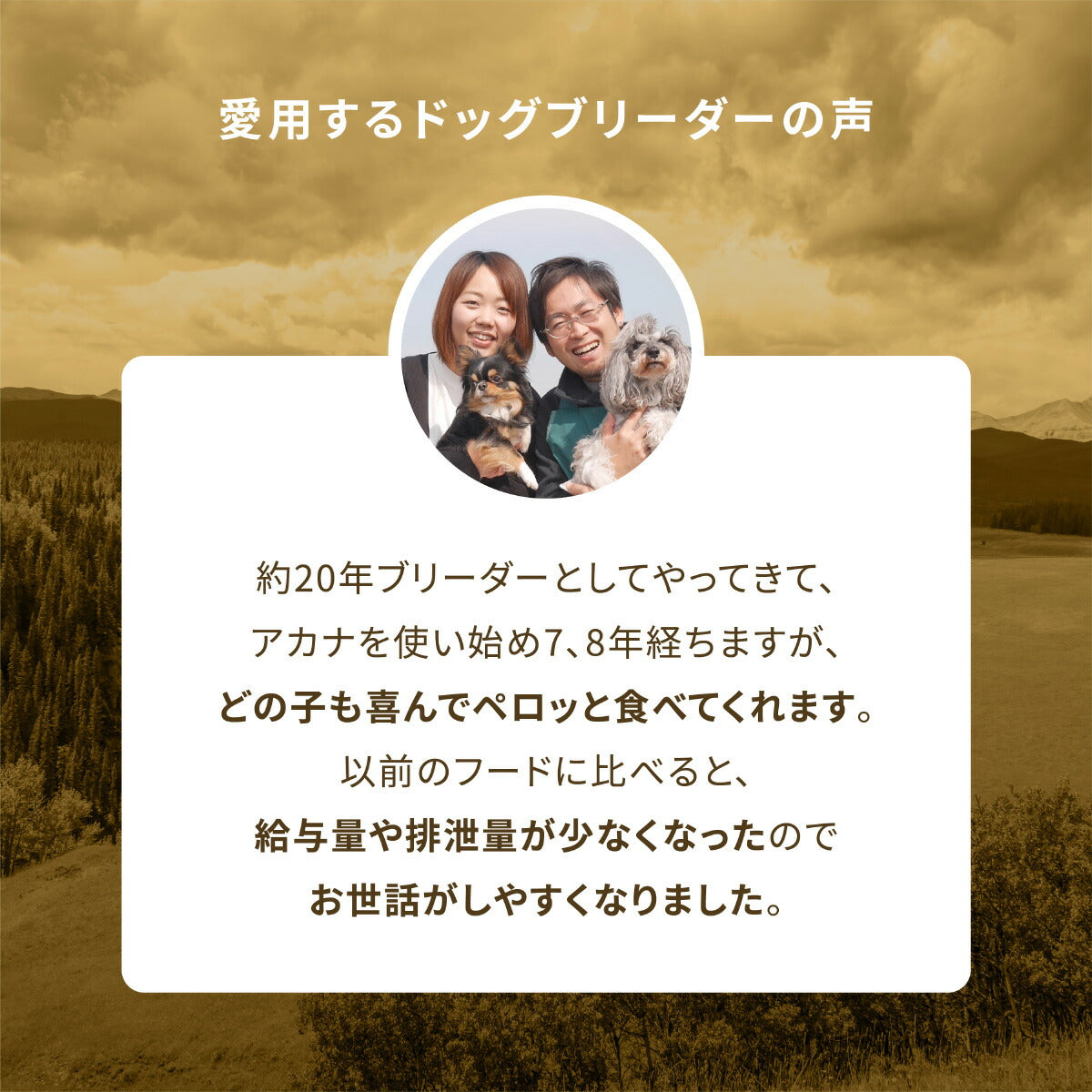 アカナ ACANA ドッグフード スポーツ&アジリティレシピ 運動量の多い犬用 全犬種 全年齢用 穀物不使用 11.4kg【送料無料】 正規品 無添加 グレインフリー