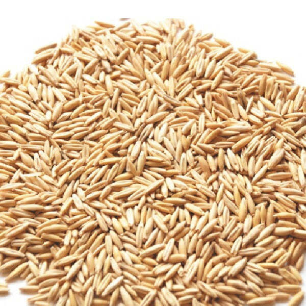 エイムクリエイツ GREEN Labo Dog & Cat grass Seeds 犬と猫が好きな草のタネ 200g