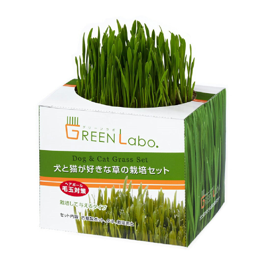 エイムクリエイツ GREEN Labo Dog & Cat grassSet 犬と猫が好きな草 栽培セット