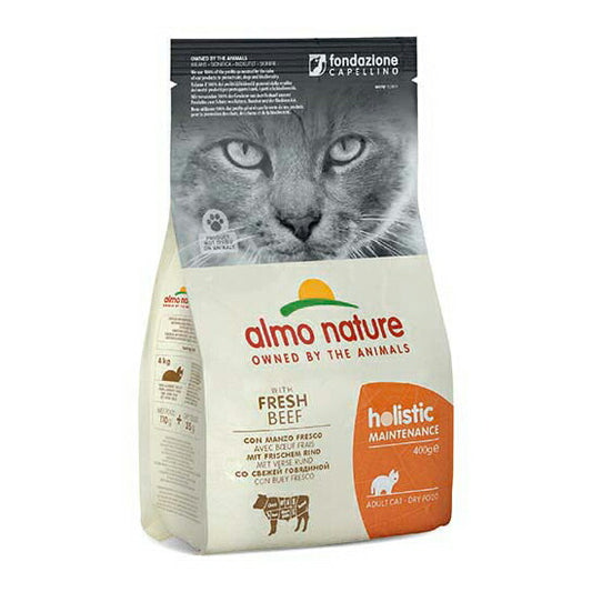 アルモネイチャー キャットフード ホリスティックドライフード 成猫用 フレッシュビーフ 400g 猫 ドライフード 総合栄養食 全猫種 無添加