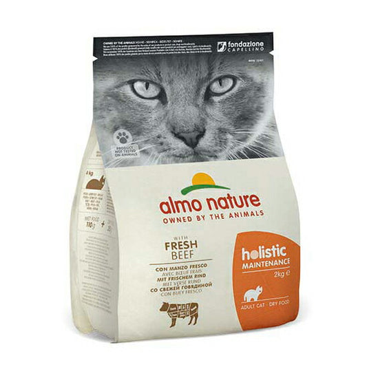 アルモネイチャー キャットフード ホリスティックドライフード 成猫用 フレッシュビーフ 2kg 猫 ドライフード 総合栄養食 全猫種 無添加
